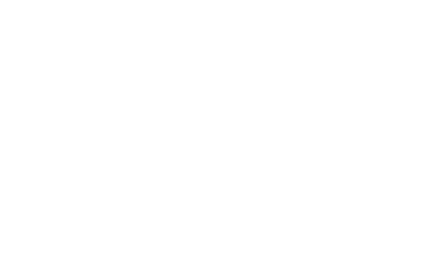 AVOISS TAXI